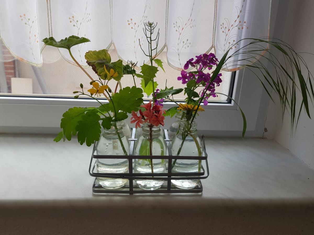 Ferienwohnung Burgenblick Thale Kültér fotó